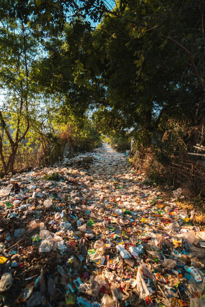La pollution plastique : un fléau mondial menaçant notre environnement