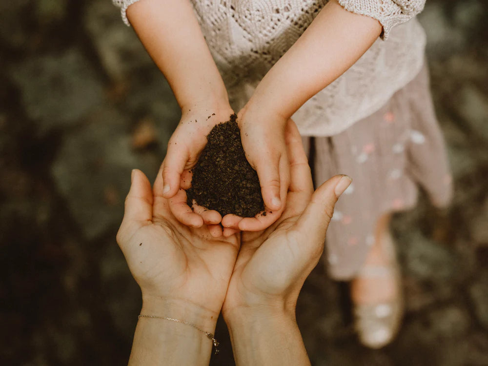 Comment Protéger Votre Bébé des Perturbateurs Endocriniens ?